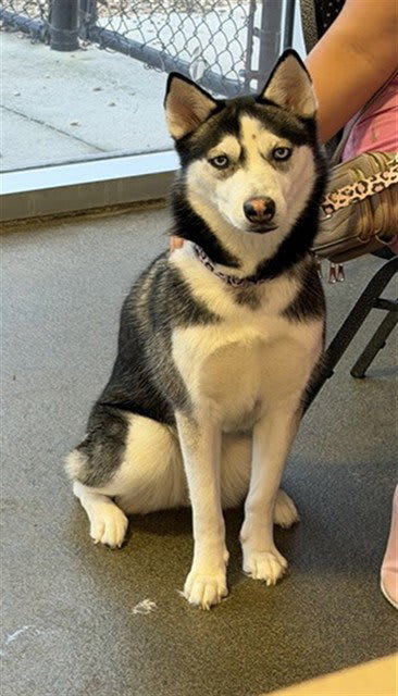 Photo of Kiara