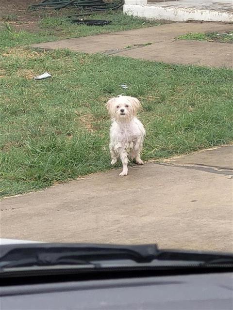 Photo of BONBON