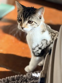 Photo of Twinkle
