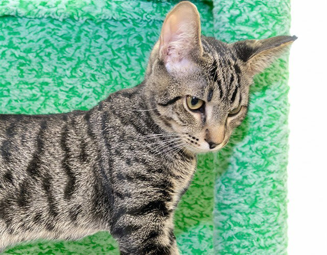 Photo of FINNEGAN