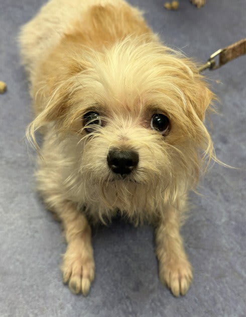 Photo of SUGAR