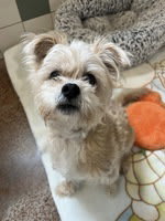Photo of Maxwell
