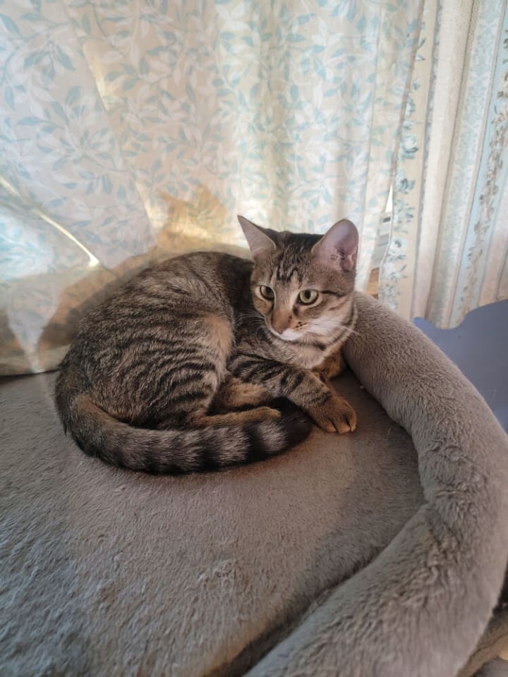 Photo of Kat