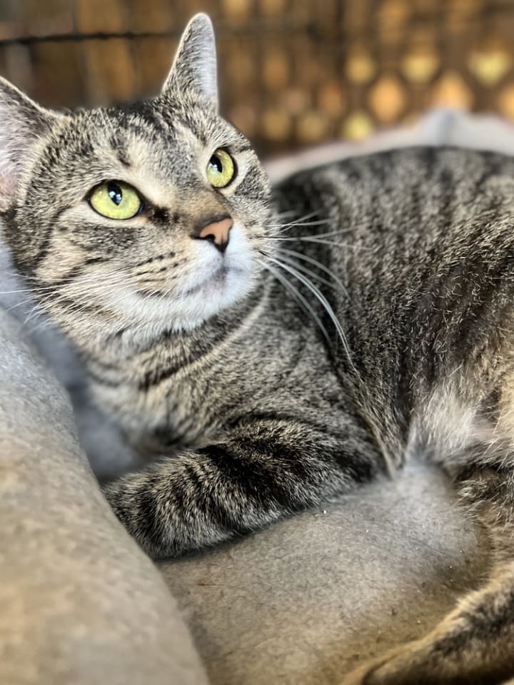 Photo of Abbi