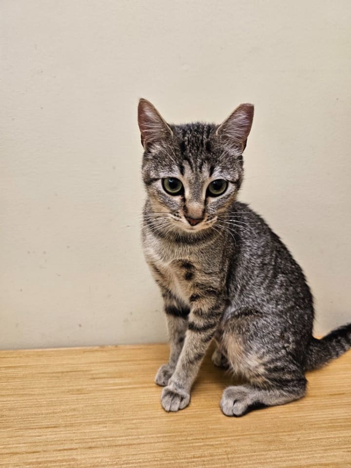 Photo of Gretel