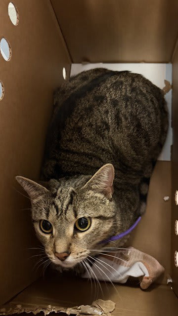 Photo of Penelope