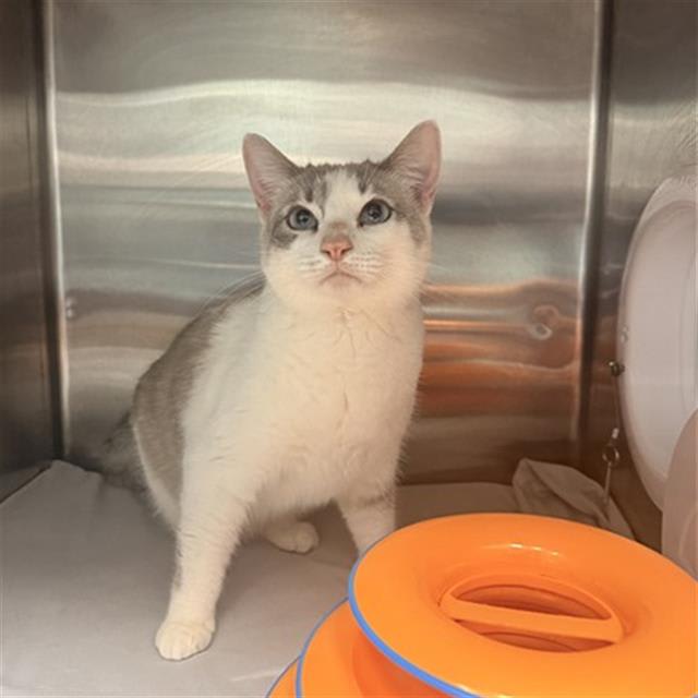 Photo of Chloe