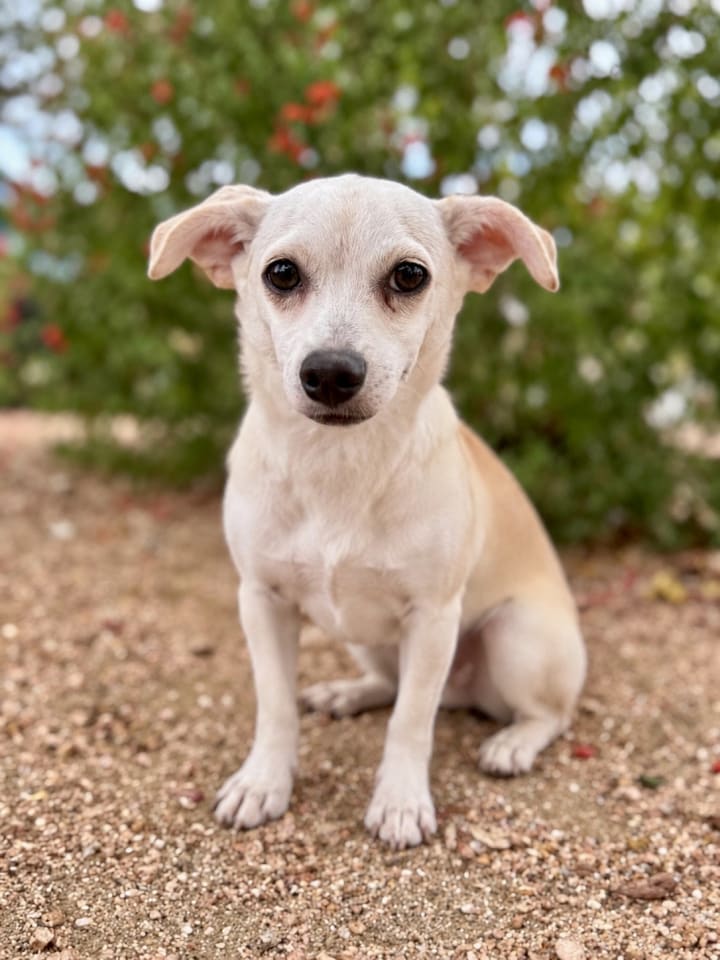 Photo of Matilda