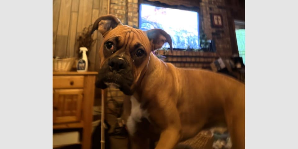 Photo of Delilah III