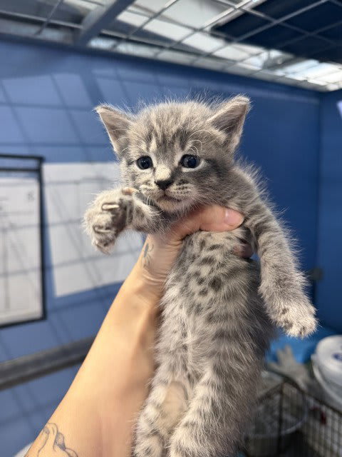 Photo of MATILDA