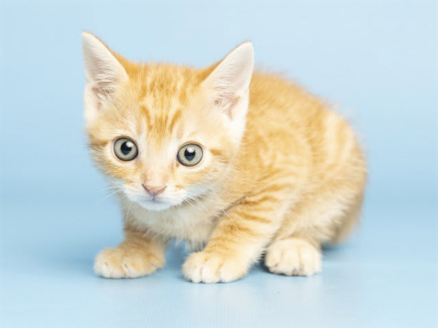 Photo of MINEY