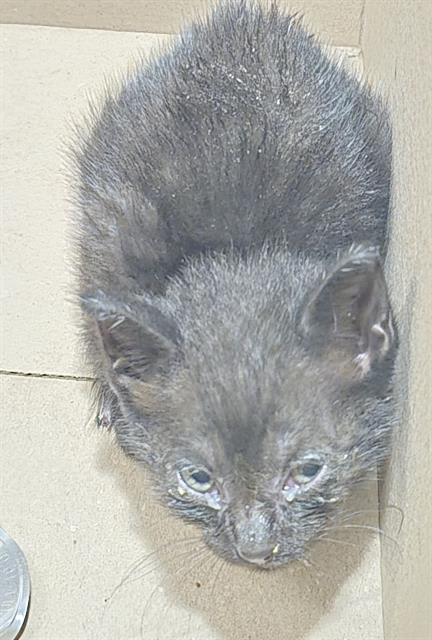 Photo of TANGO