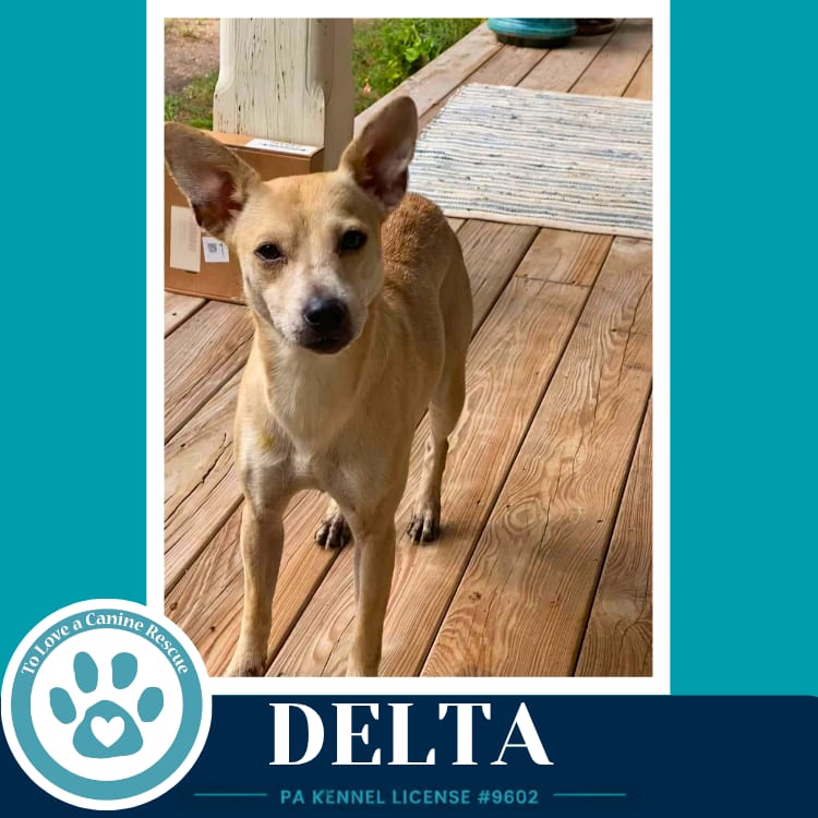 Photo of Delta 091926