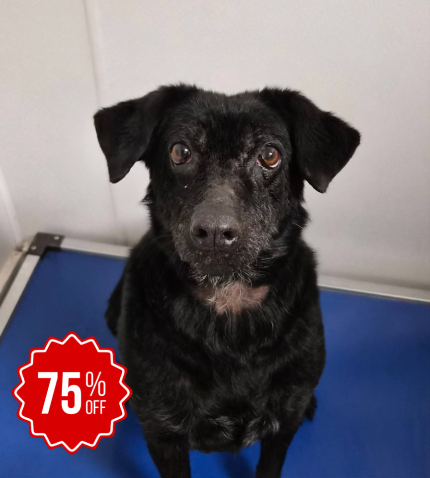 Photo of Lumen