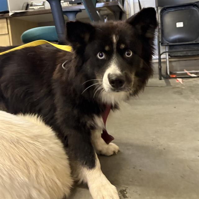 Photo of FINNY