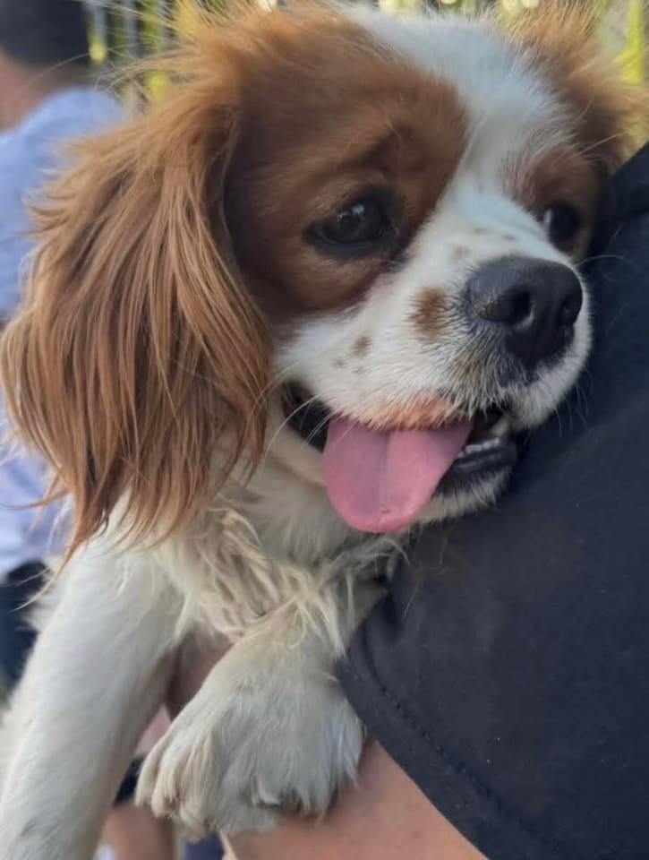 Photo of Finnegan