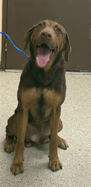 Photo of Stretch