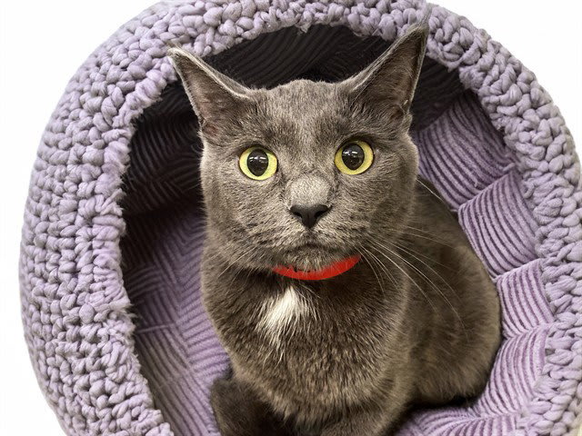 Photo of MIMI