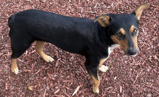 Photo of MAGGIE