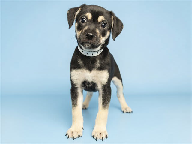 Photo of KINGSTON