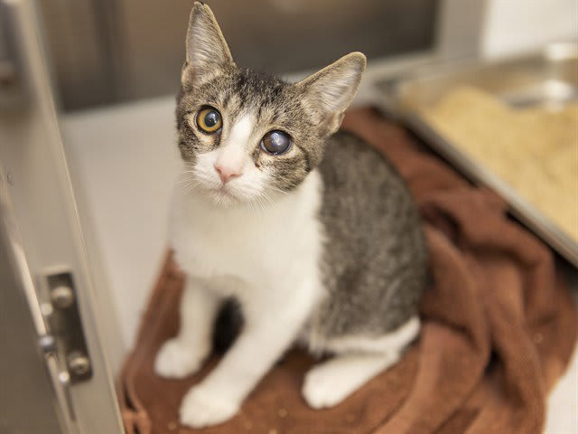Photo of SWEETNIN
