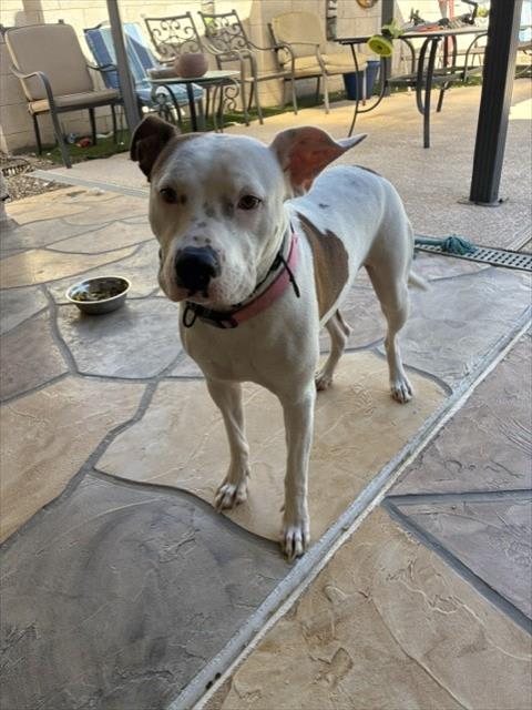 Photo of AMY