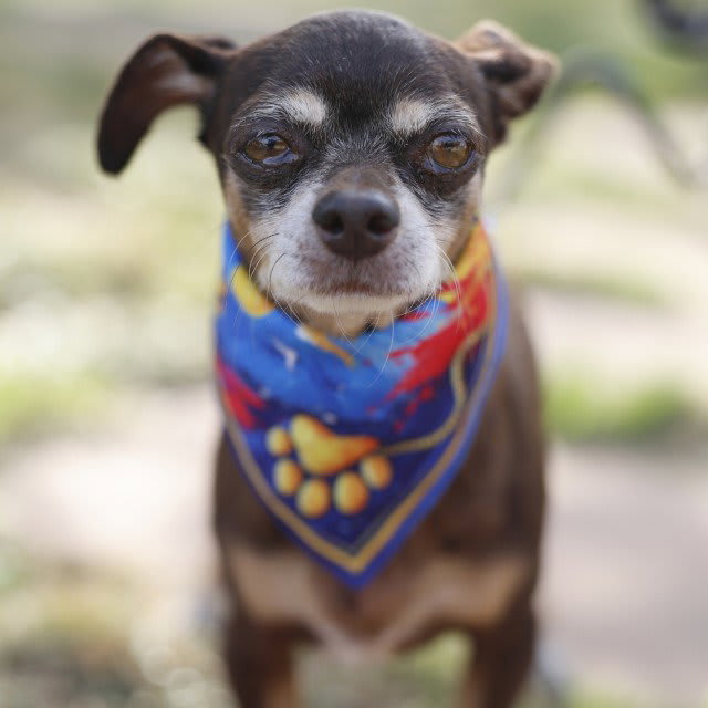 Photo of LUNA