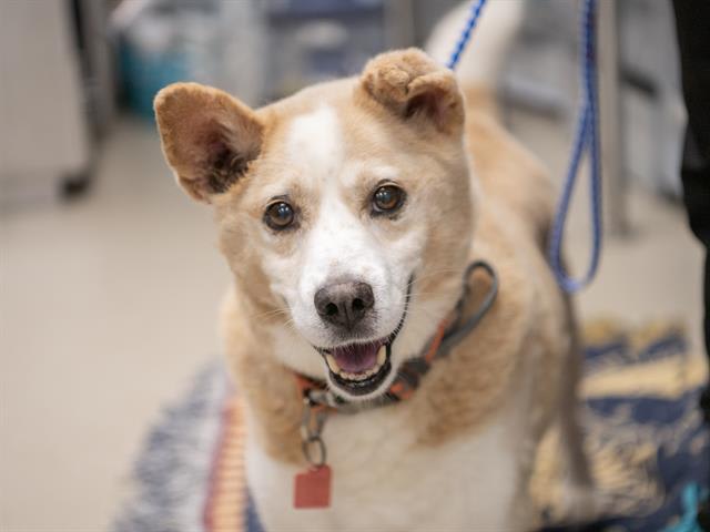 Photo of YUKON