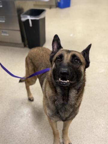 Photo of TONKA