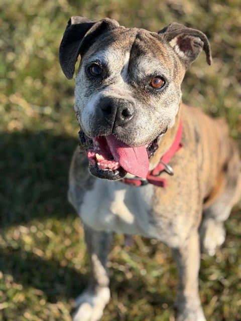 Photo of OLIVE