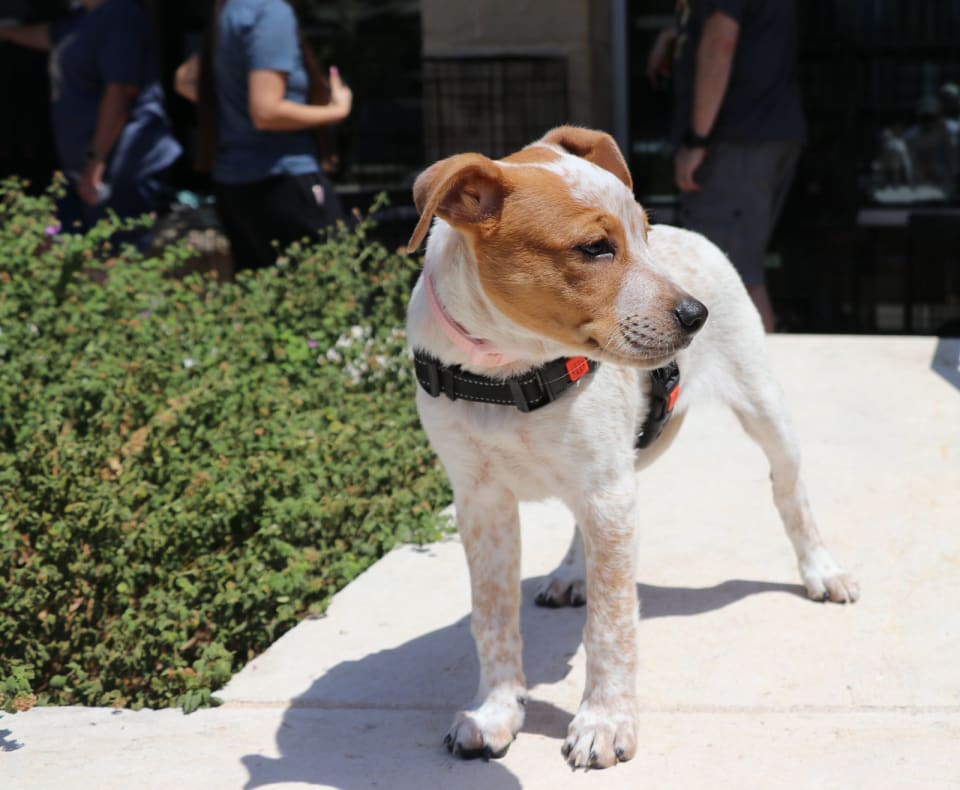 Photo of Ruby Doobey