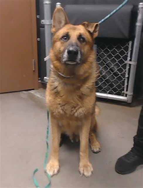 Photo of REX