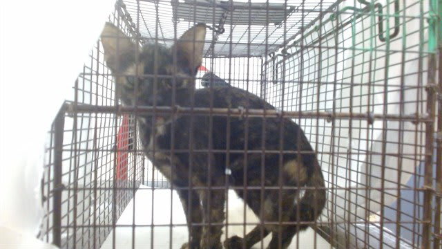 Photo of BEBE