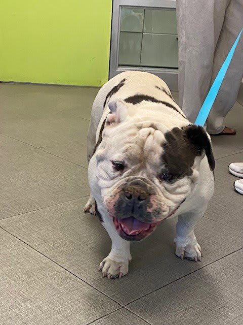 Photo of OPIE
