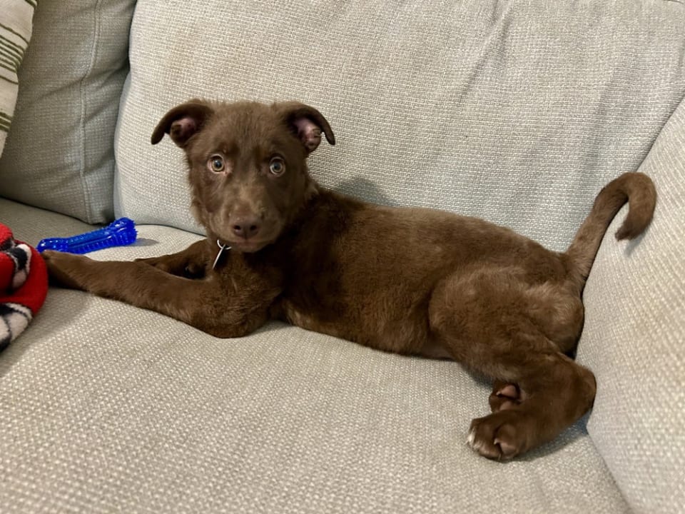 Photo of Hershey