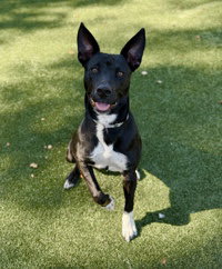 Photo of Shego