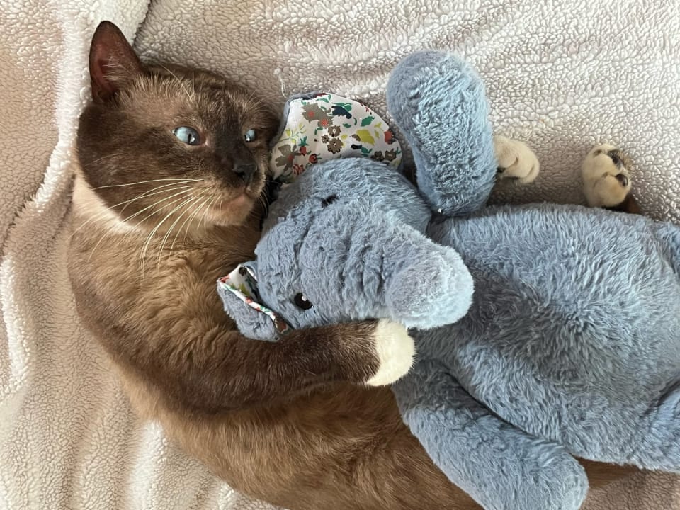 Photo of Fred