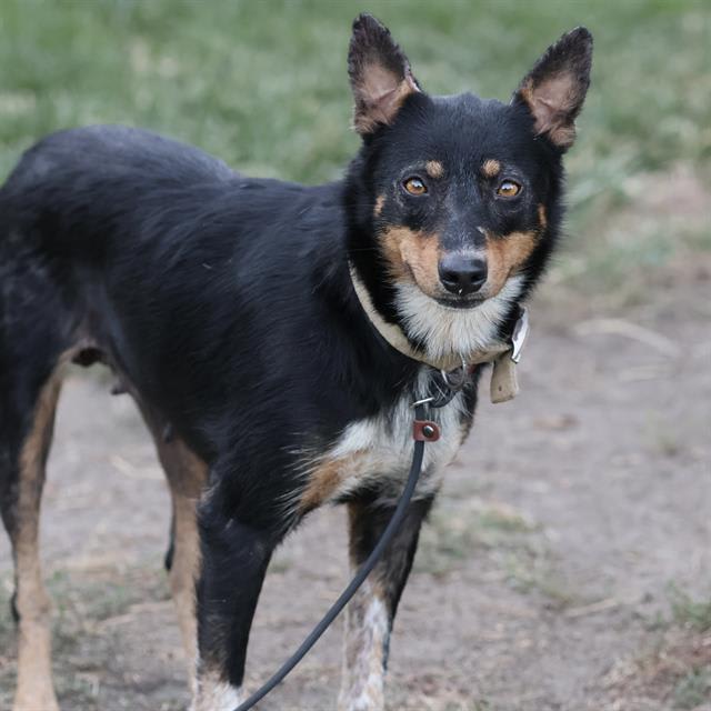 Photo of MAMA BETTY