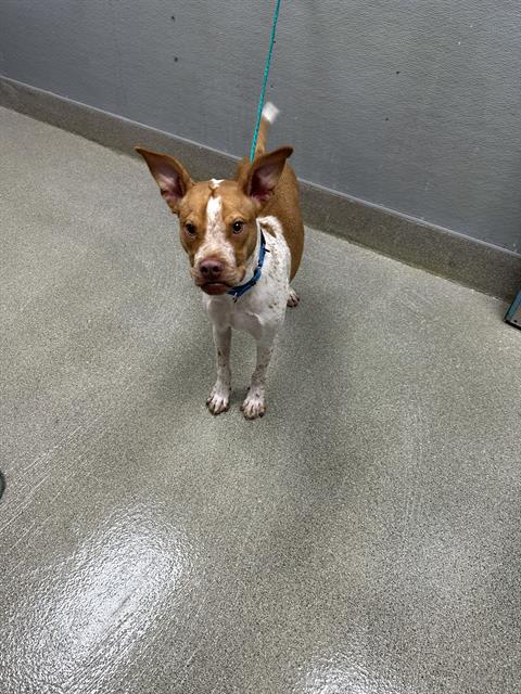 Photo of RAIDER