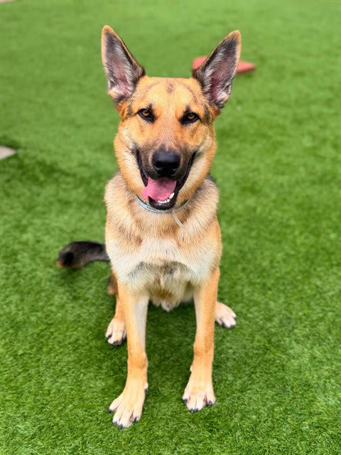 Photo of MAX