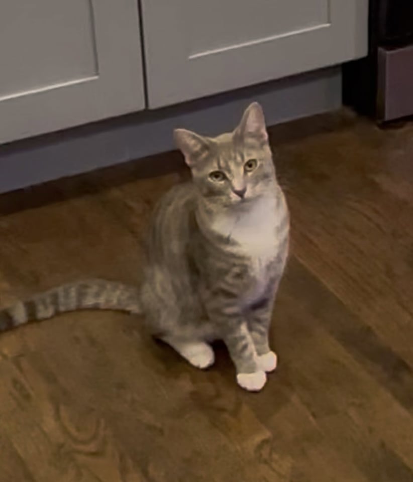 Photo of Rocky