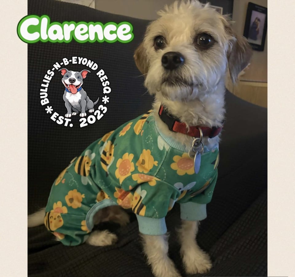Photo of Clarence