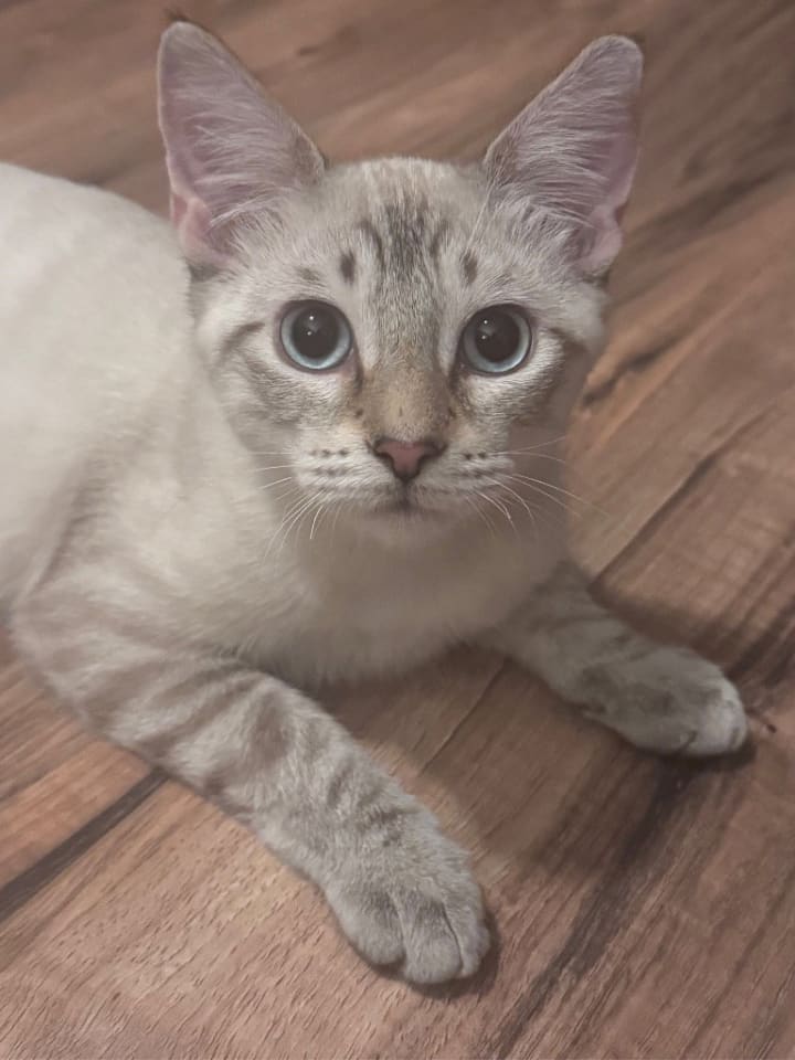 Photo of Aspen