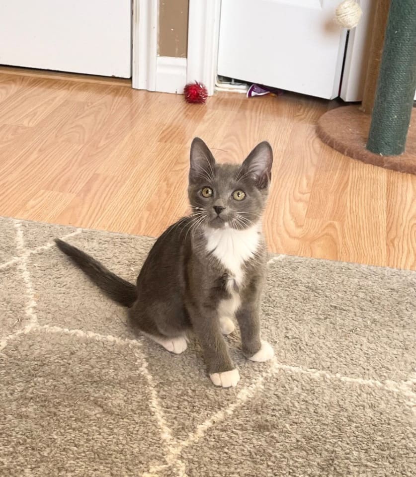 Photo of Ruby