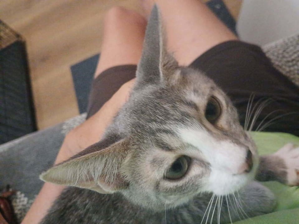 Photo of Ryobi