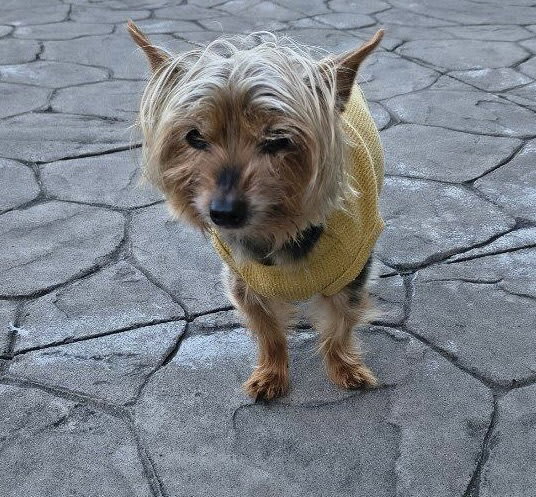 Photo of A Elliott