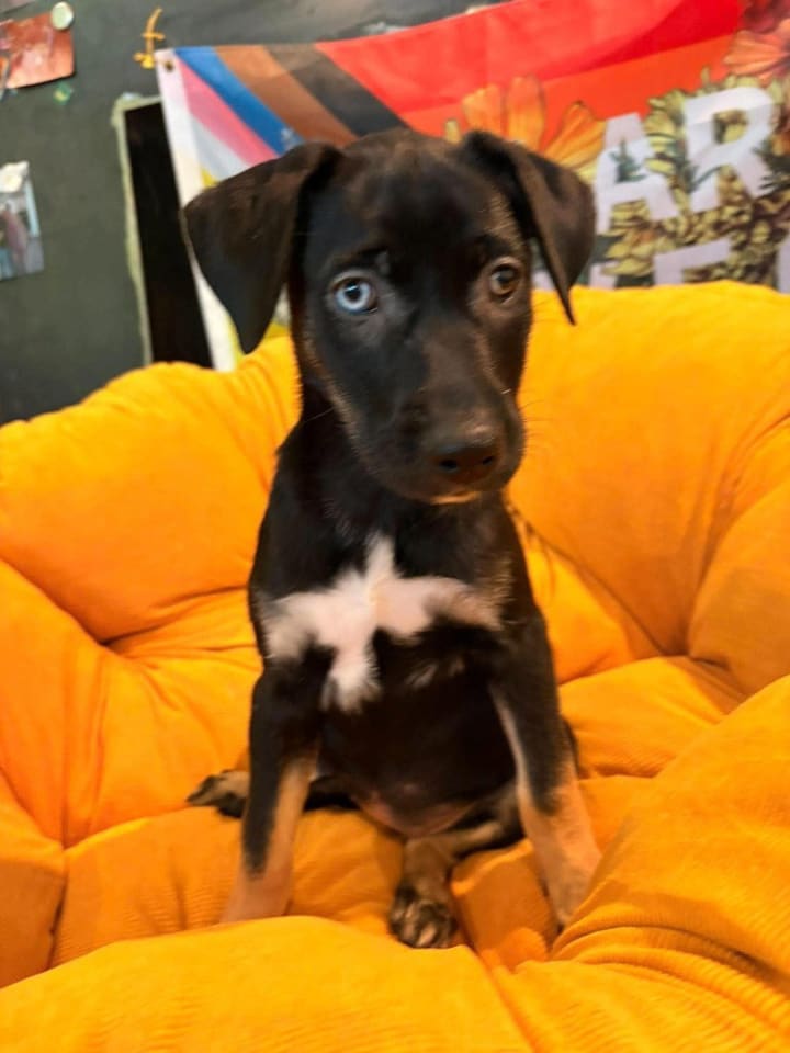 Photo of Lil Crowe