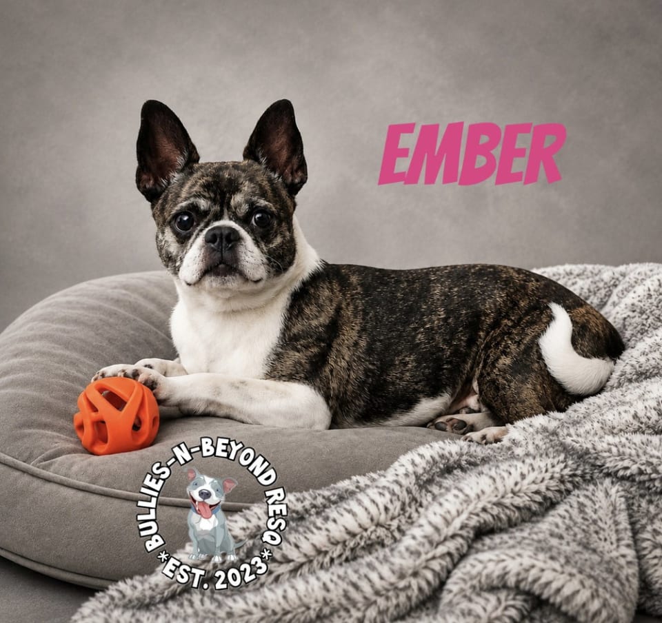 Photo of Ember