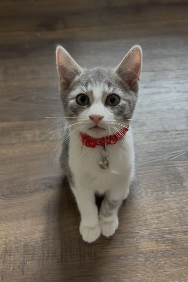Photo of Flynn