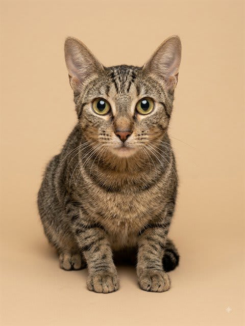 Photo of Candy